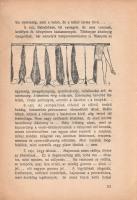 Röck Gyula:
Arc- és alaktan. Karakterológiai tanulmány Lavater, Gall, Hermann, Issbender-Haldane, S...