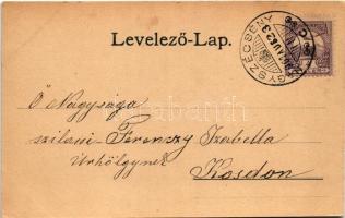 1901 Nagyszécsény, Szécsény (Nógrád); Pulszky kastély déli része, Haynald kapu, Fő utca. Art Nouveau...