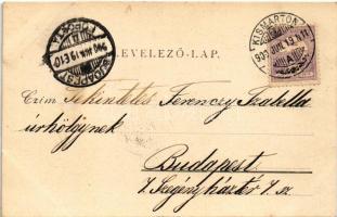 1900 Budapest VIII. Tanítónők Otthona. Orczy út 6. (vágott / cut)