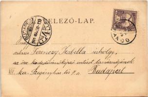 1901 Bonyhád, Marhauser-féle park, Gyalogh villa. Hoffer József kiadása, Art Nouveau (EK)