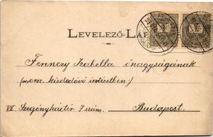 1900 Pápa, Római katolikus templom és iskola, Flórián szobor, Esterházy kastély, M. kir. adóhivatal,...