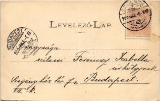 1900 Szolnok, Állami főgimnázium. Szigeti H. udvari fényképész (EK)