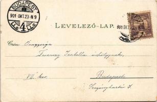 1901 Kőszeg, látkép. Róth Jenő kiadása (EK)