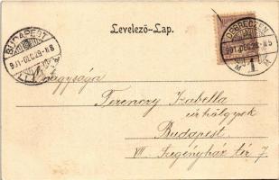 1901 Debrecen, Nagyerdői részlet. Pongrácz Géza kiadása, Kiss Ferenc eredeti fényképe után