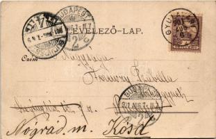 1901 Gyula, Megyeháza télen (fl)