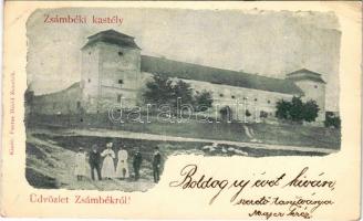 1900 Zsámbék, Zichy kastély. Fantus Dávid kiadása (EK)
