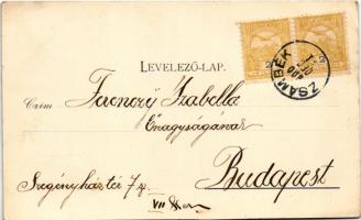 1900 Zsámbék, Zichy kastély. Fantus Dávid kiadása (EK)