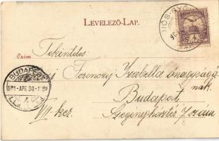 1901 Miskolc, a Dolka-tetői kilátótorony Hámorban. Thury József amateur felvétele. Lövy József fia k...