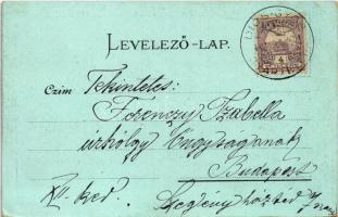 1900 Miskolc, Diósgyőri várrom. Gedeon András kiadása, Art Nouveau, floral, litho (EK)