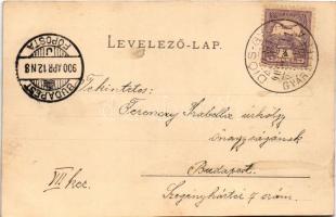 1900 Miskolc, Felsőhámor, Tó részlet, út a tóhoz, új út az alagúttal. Lövy József fia kiadása. Art N...