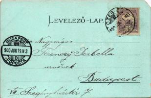 1900 Cegléd, Kossuth tér, városháza. Sebők Béla kiadása. Art Nouveau, floral, litho (EM)