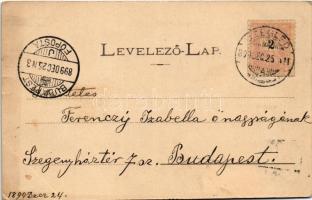 1899 (Vorläufer) Cegléd, Népkert, park. Piros I. kiadása (EK)