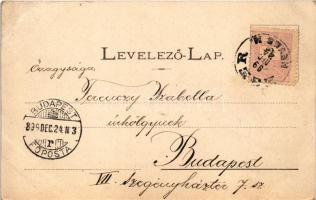 1899 (Vorläufer) Eger, látkép, egri menyecske, magyar folklór. Kiss József fényképész kiadása. Art N...