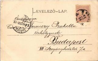 1899 (Vorläufer) Eger, Megyeháza (kis szakadások / small tears)