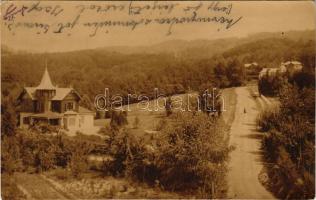 1922 Szováta, Sovata; nyaralók / villas. photo (EK)