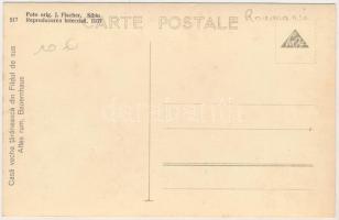 Felsőfüld, Fildu de Sus; Casa veche taraneasca / Altes rum. Bauernhaus / Erdélyi folklór, régi román...