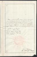 1868 Súlyos testi sértés miatti táblabírósági ítélet