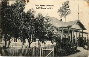 1914 Mezőlaborc, Medzilaborce; Gróf Hoyos kastélya. Rubin Lipót kiadása / castle (EK)