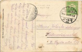 1914 Mezőlaborc, Medzilaborce; Gróf Hoyos kastélya. Rubin Lipót kiadása / castle (EK)