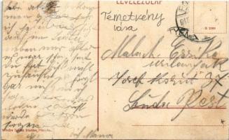 1915 Temetvény, Hrádok; Temetvény vár. Schulz Ignác kiadása / Hrad Tematín / castle ruins (vágott / ...