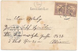 1902 Karánsebes, Caransebes; Philipphof / Philipp udvar. H. Rosenfeld kiadása / hotel and café (fl)