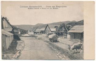 Ruszpolyána, Ruspolyana, Havasmező, Havaskő, Poienile de sub Munte, Ruspoiana (Máramaros); Kilátás a hídról / Blick von der Brücke / view from the bridge (fl)