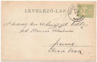 1903 Nagyág, Sacaramb (Hunyad); látkép / general view. photo (vágott / cut)