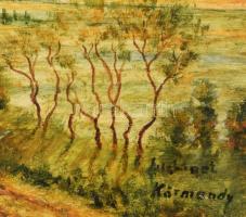 Körmendy jelzéssel: Szigliget (Balatoni táj, háttérben a Badacsony). Olaj, fa, 25x35 cm. Dekoratív f...