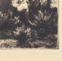 Iván Szilárd (1912-1988): Vízpart. Rézkarc, papír, jelzett, üvegezett fakeretben, 21×27 cm