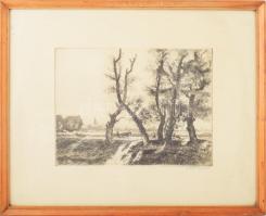 Zádor István (1882-1963): Szajoli országút. Rézkarc, papír, jelzett, üvegezett fakeretben, 23×30 cm