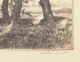 Zádor István (1882-1963): Szajoli országút. Rézkarc, papír, jelzett, üvegezett fakeretben, 23×30 cm