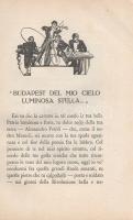 Cucchetti, Gino:
Nel cuore dei magiari (L'Ungheria d'oggi). Disegni originali di Sascha R...