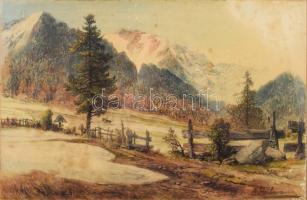 Szecessziós, plasztikus fém ornamentikával díszített üvegezett fakeret, A. Heilmann jelzésű, foltos ...