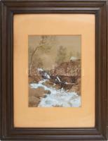 Sándor jelzéssel: Vízimalom, 1905. Akvarell, papír. Üvegezett fakeretben. 32,5x24 cm