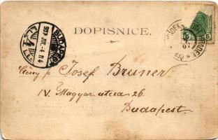 1907 Drahobudice, Skola. Nakl. A. Weigner / school, shop of A. Weigner. Art Nouveau, floral (EK)