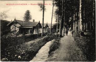 1918 Modor-Harmónia, Modern-Harmonie, Modra; Blaskovics Fridolin út, nyaraló / street, villa (EK)