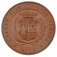 Wenzel Seidan (1817-1870) 1874. "A Magyar Orvosok és Természetvizsgálók XVII. nagygyűlése emlék...