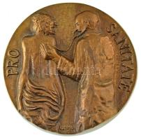 Kampfl József (1938-2020) 1992. PRO SANITATE egyoldalas bronz emlékérem eredeti tokban (96mm) T:UNC