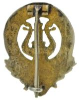 Amerikai Egyesült Államok ~1930-1940. "New Yorki Magyar Dalárda" zománcozott bronz jelvény...