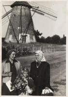 1956 Balotaszállás szélmalom fotója 6x8,5 cm