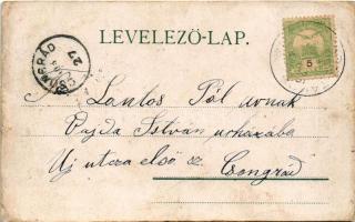 1903 Buziásfürdő, Baile Buzias; Római katolikus templom, Bazár szálloda. Herrling Károly kiadása / c...