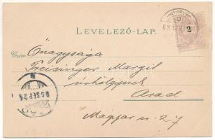 1899 (Vorläufer) Zsombolya, Hatzfeld, Jimbolia; Gróf Csekonics Csitó kastélya, Park. Manzin és Ferch...