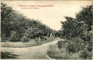 Vízakna, Salzburg, Ocna Sibiului; sósgyógyfürdő. Takács Jenő kiadása / spa park