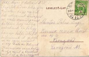 1915 Nagykároly, Carei; Kossuth Lajos szobor / monument