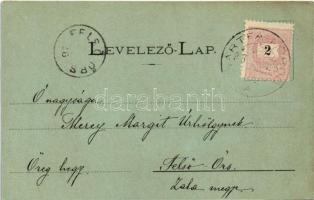 1898 (Vorläufer) Zboró, Zborov; Zborói várrom. Divald / Zborovsky hrad / castle ruins