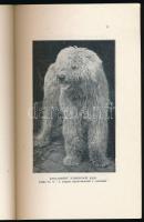 Hankó Béla: Ősi magyar kutyák. A Hortobágyi Múzeum kiadványai 2. sz. Debrecen, 1940, Városi Nyomda, ...