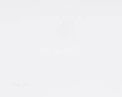 Milan Dobes (1929-): Rózsaszín kompozíció (cím nélkül), 2006. Szitanyomat, karton. Jelzett. Számozot...