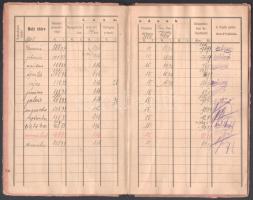 cca 1904-29 2 db fizetési könyv ugyanazon személy részére, egyik Arad, másik Bp