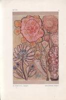 Lombroso, Cesare: Hypnotische und spiritistische Forschungen. Mit 66 Abbildungen. Berechtigte Übersa...