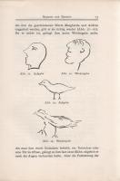 Lombroso, Cesare: Hypnotische und spiritistische Forschungen. Mit 66 Abbildungen. Berechtigte Übersa...